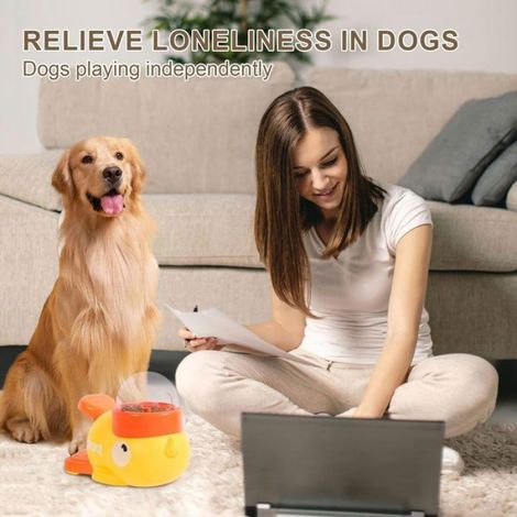 Distributeur De Friandises - Pour Chiens Et Canards - Anti-Gloutonnement - Pour Chiens De Petite Et Moyenne Taille - 1 Pièce (1/5)