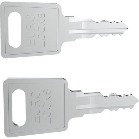 Set de 2 cles -code fh167- pour porte et panneaux lateraux baie linkeo ral 7016 (981079)