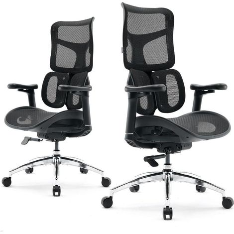 Ergonomischer Bürostuhl mit dualer Lordosenstütze und 4D-Armlehnen, Schwarz (1/5)
