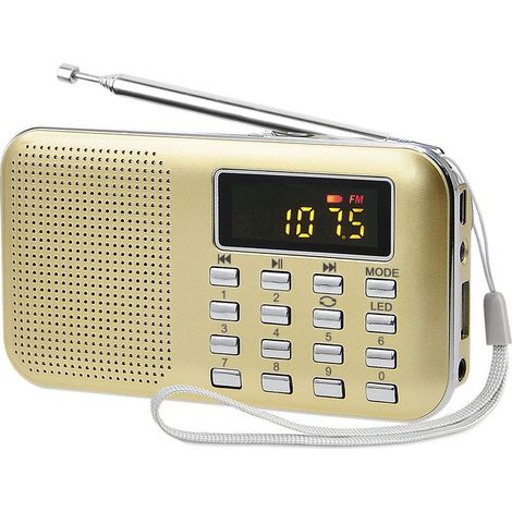 Poste Radio Portable, Radio FM AM Piles et Secteur, MP3, Enceinte, Support TF Card/USB, Torch, Convient (Doré) (1/5)