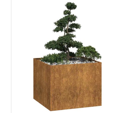 Vidaxl – Jardinière rouillée 100x100x80 cm en acier inoxydable – Bac à fleurs avec fond ouvert pour drainage – Stabilité renforcée pour jardinage