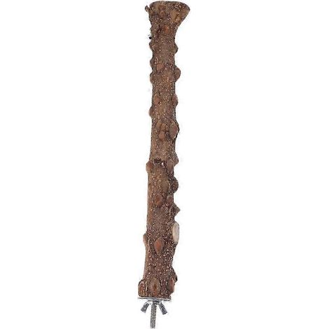 Perchoir en bois de frêne épineux naturel pour perroquets, plateforme de balançoire pour pinsons, idéal pour l'exercice, l'équilibre et bien plus encore.-M (1/5)