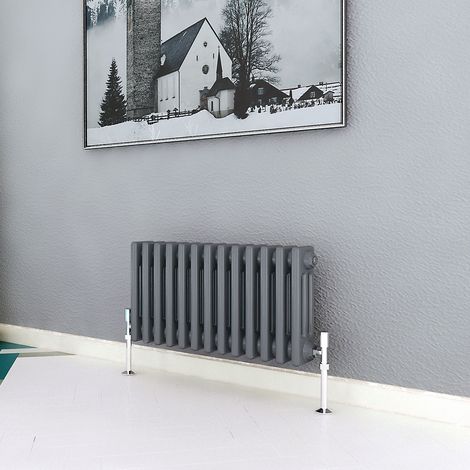 Biubiubath Traditional Cast Iron Radiator 300x605mm 3 Column Anthracite (1/5)
