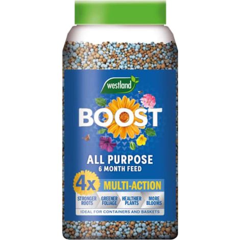 Westland 20100535 Boost All Purpose 6 Month Plant Feed 750g WLD20100535