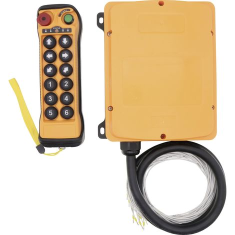 TRU COMPONENTS TC-Q1200 12-24V TC-14232312 Industrielle Funkfernsteuerung 12-Kanal, 12-24 V     1 Se (1/5)