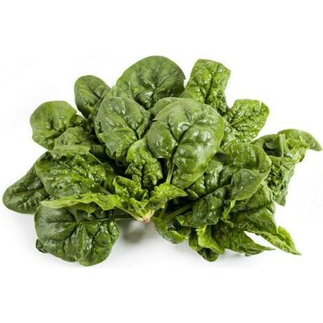 Semi di spinacio "riccio d'America" piante per orto e giardino coltivazione domestica e professionale kg 0,5