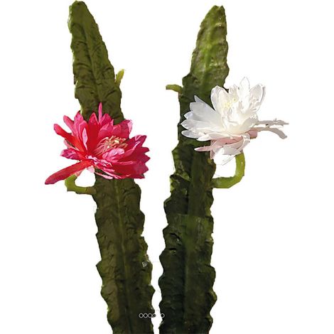 Joli cactus cierge artificiel en piquet H 52 cm avec sa fleur Rose fushia - couleur: Rose fushia 730