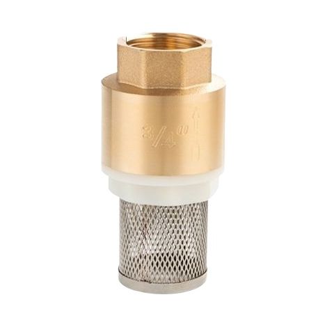 Valve de Fond en Laiton Anti-Retour avec Filtre Intégré, Valve Droite à Noyau en Cuivre, Clapet Anti-Retour Vertical à Filetage Femelle 25mm pour Tuyauterie Domestique et Industrielle (1/2)