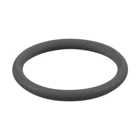 Rems O-Ring 060330