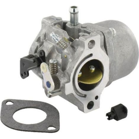 Carburateur BRIGGS ET STRATTON 799728