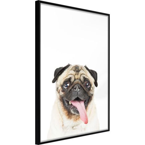 Affiche Murale Encadrée "Funny Pug" 21 x 30 cm Noir