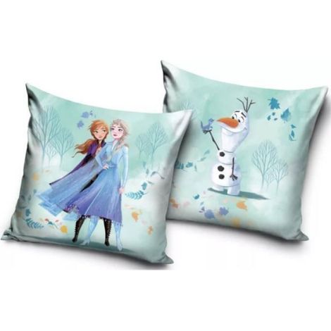 Taie D Oreiller - 40x40 Cm - Effet Velours - Reversible - 1 Piece