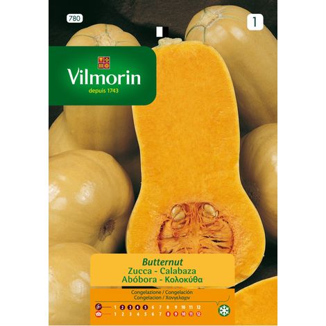 Semi di zucca vilmorin butternut s-1 780, oltre 7 gr