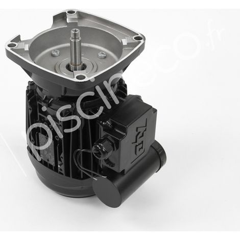 Moteur pour pompes La Sta-Rite 1 CV Tri - Pentair
