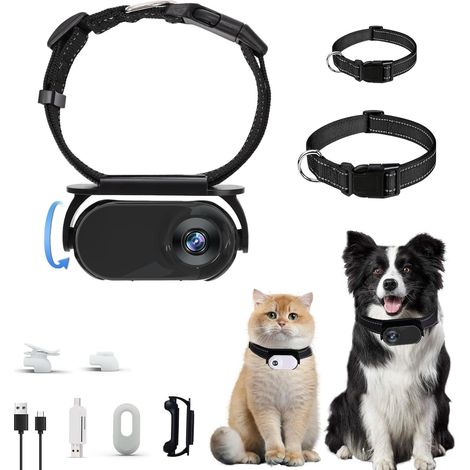 Collier caméra sans fil 1080p haute qualité pour animaux de compagnie, idéal pour l'enregistrement vidéo, caméra de surveillance discrète, compatible avec les accessoires pour animaux, sans Wi-Fi - 32 (1/4)