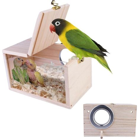 Transparenter Nistkasten für Wellensittiche, Sittiche, Papageien, 12 x 12 x 19,5 cm (1/5)
