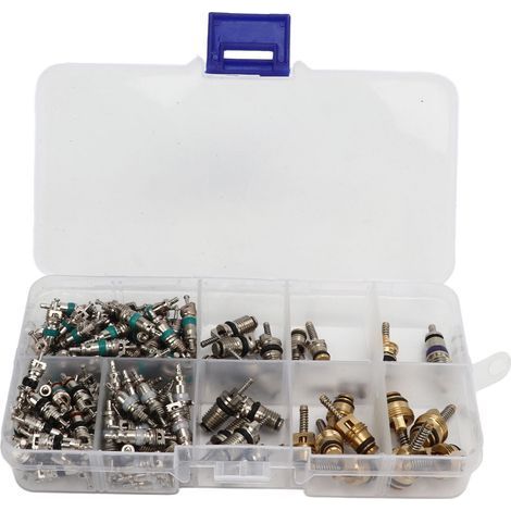 134 PCE Noyaux de valve de climatisation compacts et précis, tiges de valve de pneu pour voitures camions VTT motos (1/5)