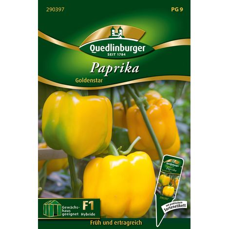 Quedlinburger Saatgut – Poivron Goldenstar – Graines de légumes, gros fruits jaunes à chair épaisse, 13 cm de long (1/2)