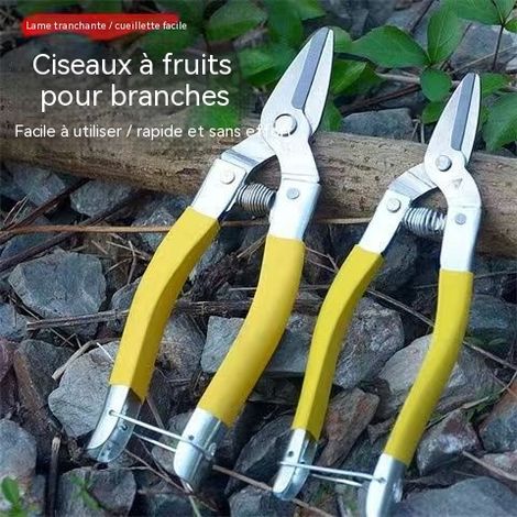 Sécateur de taille moyenne en acier inoxydable, idéal pour cueillir agrumes, fruits et tailler les branches (1/4)