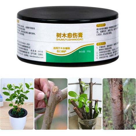 50 g Heilpaste für Bäume und Bonsai, zur Wundversorgung nach dem Beschneiden und zum Pflanzenschutz.