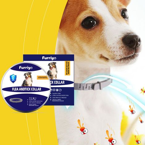 Collier anti-puces et anti-tiques pour chats, collier de cou ajustable pour prévenir les puces, les acariens et les tiques. (1/4)