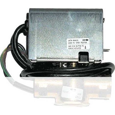 Motorino Syncron - 220V 50 Hz 00000R02275