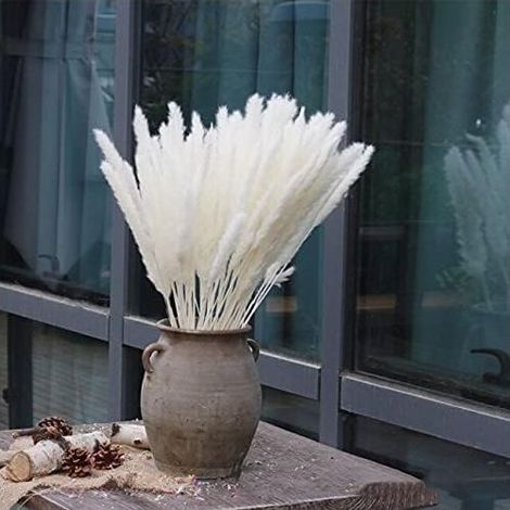 Pampas Grass - 15 Pièces Séchées Naturelles - Décoration Intérieure Extérieure - Pour Mariage Centre de Table Vase Bouquet - Lot de 1 (1/5)