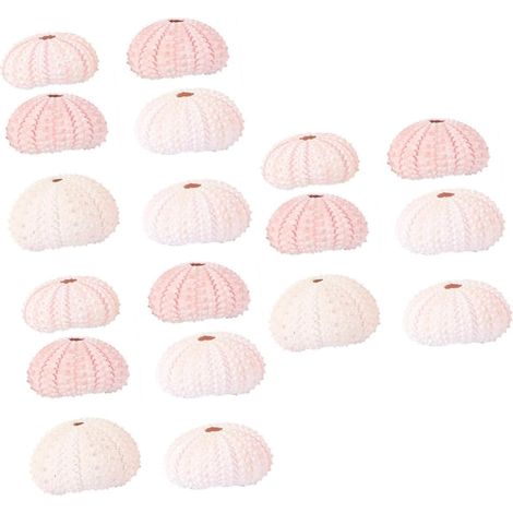 18 Stück Pflanzgefäße Kreative Conch Shell Blumentöpfe Für