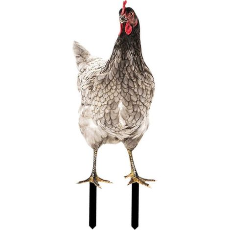 Statue de coq pour jardin, décoration extérieure, sculpture de poule pour fête de Noël-Style E (1/5)