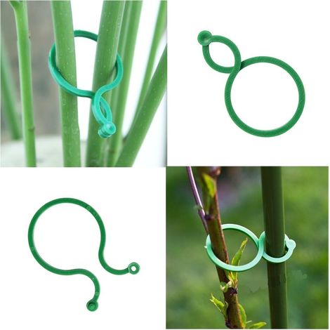 200 Pcs(M) Clips de Jardin Support pour Plantes Clips Twisty Plante Anneaux pour Les Plantes grimpantes