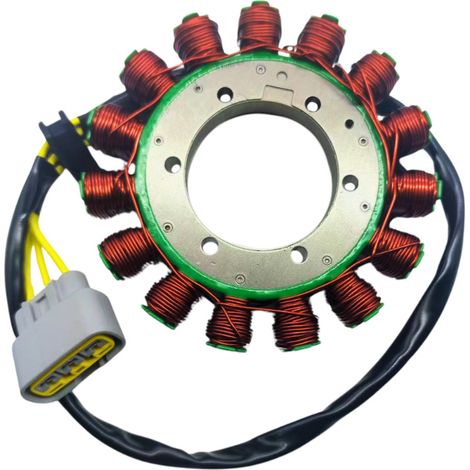Convient aux motos BM R1200 R1250RS RT R : accessoires de bobine de stator de générateur magnétique.