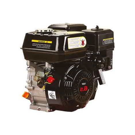 Motore per Motozappa Ideal Star CR850 (1/2)