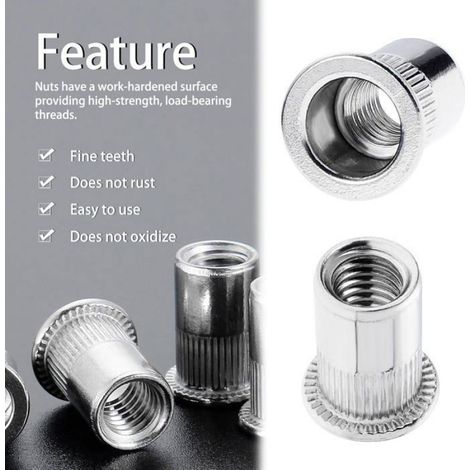 100PCS Ecrou Rivet Ecrous M6,M8 en acier inoxydable Ecrous à insert fileté Rivnuts Capuchon de rivet à tête plate et filet (1/4)