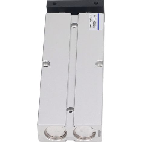 Vérin pneumatique à double effet, double tige, en alliage d'aluminium, diamètre 20 mm, course 100 mm, à action composée (1/5)