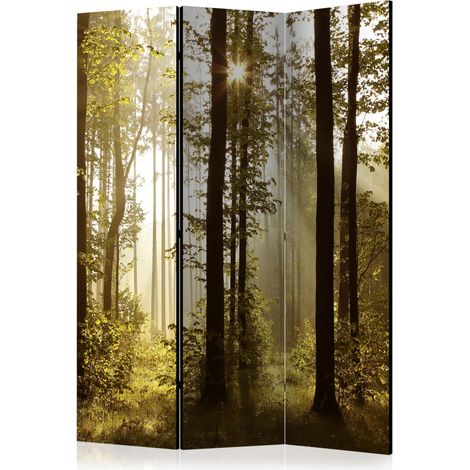 Paravento - Forest: Morning Sunlight  [Room Dividers] - 135x172 (1/4)