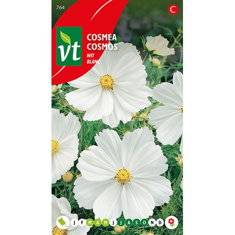 Cosmea Blanc - Ca. 1 gr (Livraison Gratuite) (1/3)