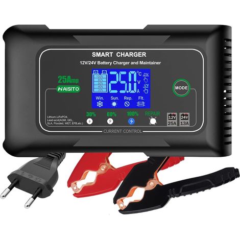 Chargeur Batterie Voiture 12V/24V 25A, Chargeur Batterie Auto et Moto Rapide Intelligent, Portable Chargeur et Mainteneur de Batterie Lithium, LiFePO4, Plomb(AGM, EFB, Gel, MF, VRLA, etc.) (1/5)