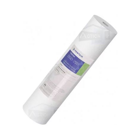 Cartouche Pentair Big Blue DGD 2501
