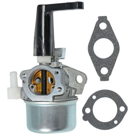 Carburateur 696065 697422 110402 110412 215369 Moteur 5,5 CV Moteur 6,5 CV (1/5)