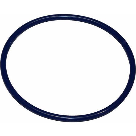 Kränzle Rundriemen - für 2+2 - 50160 (1/2)