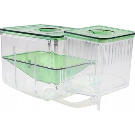 Aquarium mit Trennwänden zur Isolation und Fischzucht.