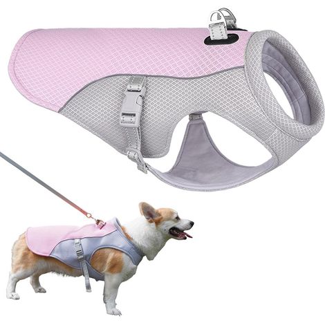 Kühlweste für Hunde (Pink, XXL) - Kühljacke für Hunde - Kühlweste für Hunde - Hundekühlung - Kühlweste - Mit verstellbarem D-Ring - Atmungsaktiv (1/5)