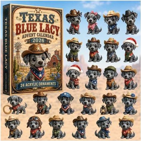 Colley cowboy calendrier avent 2026 2D boîte surprise