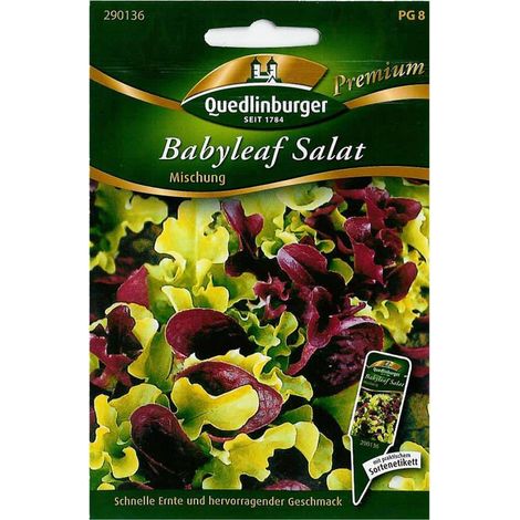 Quedlinburger Babyleaf Salat Mischung - Premium Gemüsesamen (1/2)