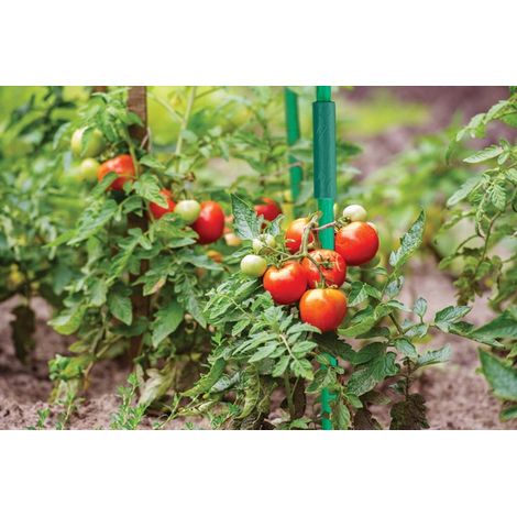 Accessoire de culture bradas tyczka ogrodowa stalowa 16mm x100cm 10 pack résistant aux intempéries structure personnalisable (1/3)
