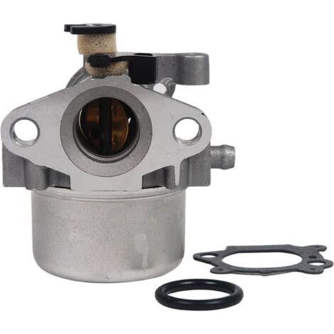 Carburetor for Briggs & Stratton 799866 replaces 796707 794304 with gasket