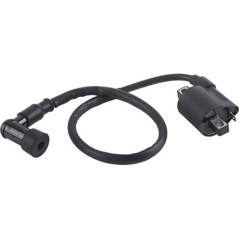 Bobine d’allumage moto 150cc–250cc – plastique noir + boîtier métallique pour scooter, VTT, moped et karting (1/5)