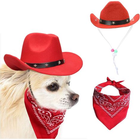 chapeau De Cowboy Et Charpe Bandana Pour Chiens Et Chats - Chapeaux Sombrero Pour Chiots, Chiots Et Chats - Costumes Pour Animaux De Compagnie - D (1/5)