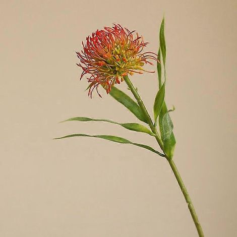 Chrysanthème artificiel en plastique, tige unique, aiguille, photographie de mariage, décoration intérieure, art floral, fausse fleur de chrysanthèmeorange (1/5)