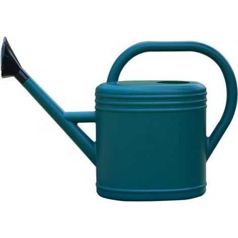 Arrosoir Ovale 3 Litres avec Pomme d'Arrosage - Design Métal Vieilli Vert - Dimensions 40 x 12 x 29 cm - Pour Plantes d'Intérieur et Extérieur (1/4)